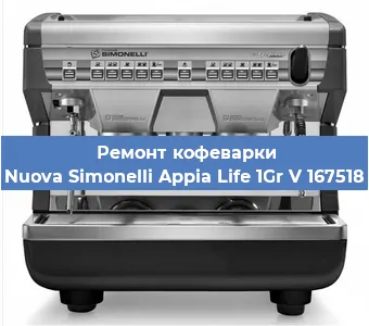 Чистка кофемашины Nuova Simonelli Appia Life 1Gr V 167518 от кофейных масел в Белгороде
